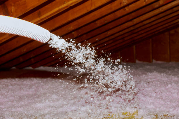 Best Insulation Inspection Services  in Brownsville, OR