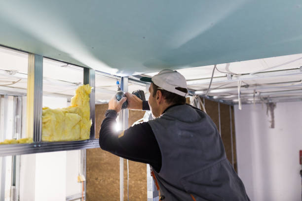 Best Insulation for New Construction  in Brownsville, OR