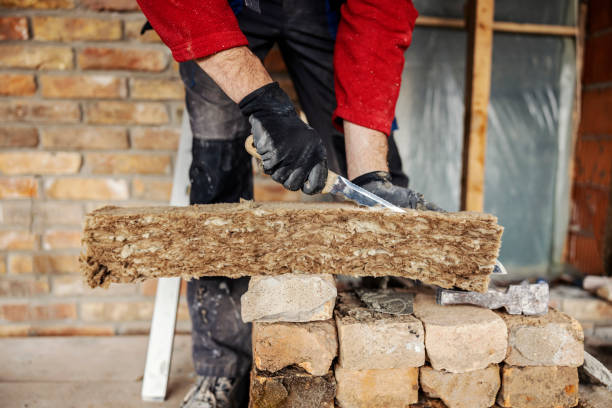 Best Insulation Removal Services  in Brownsville, OR