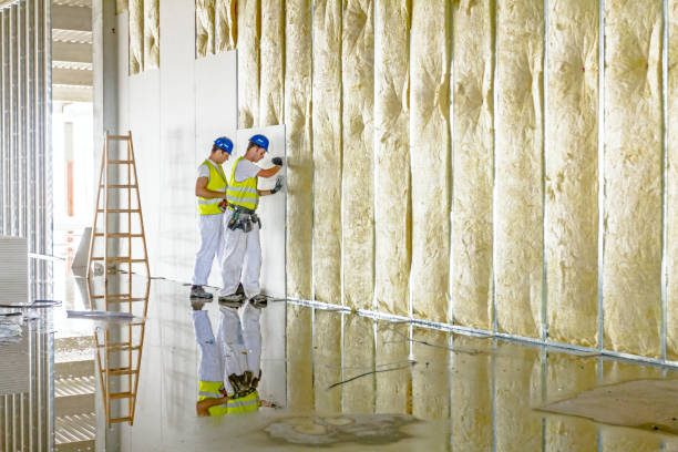 Best Local Insulation Services  in Brownsville, OR